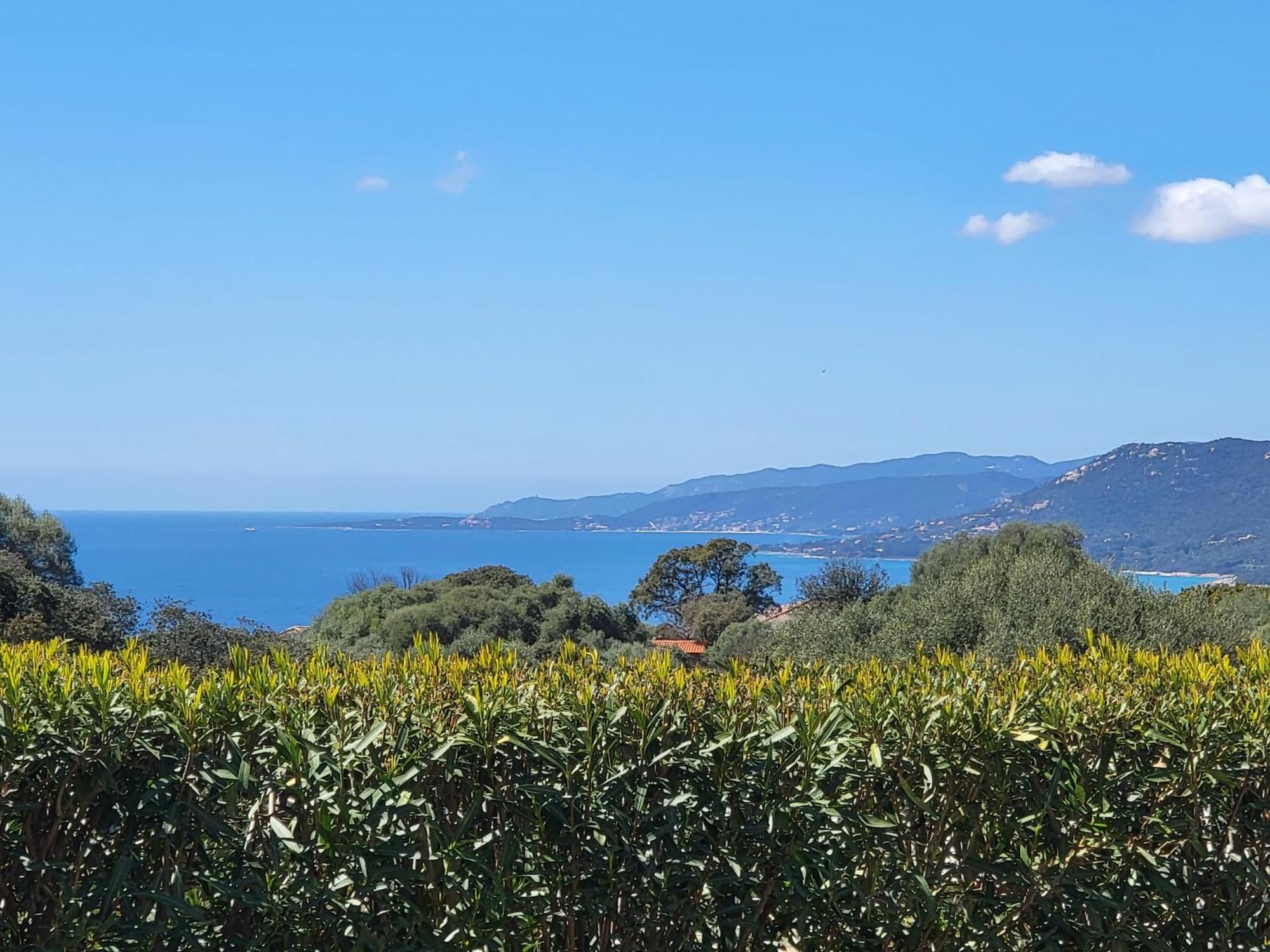 T2 Propriano Vue Mer, Neuf, Climatise Et Classe 3 Etoiles Viggianello Exterior foto